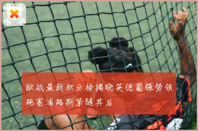 欧战最新积分榜揭晓英德葡强势领跑塞浦路斯紧随其后