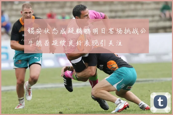 锡安状态成疑鹈鹕明日客场挑战公牛能否延续良好表现引关注