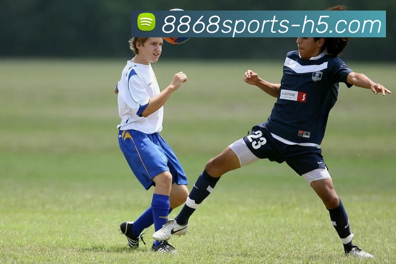 8868体育品牌故事